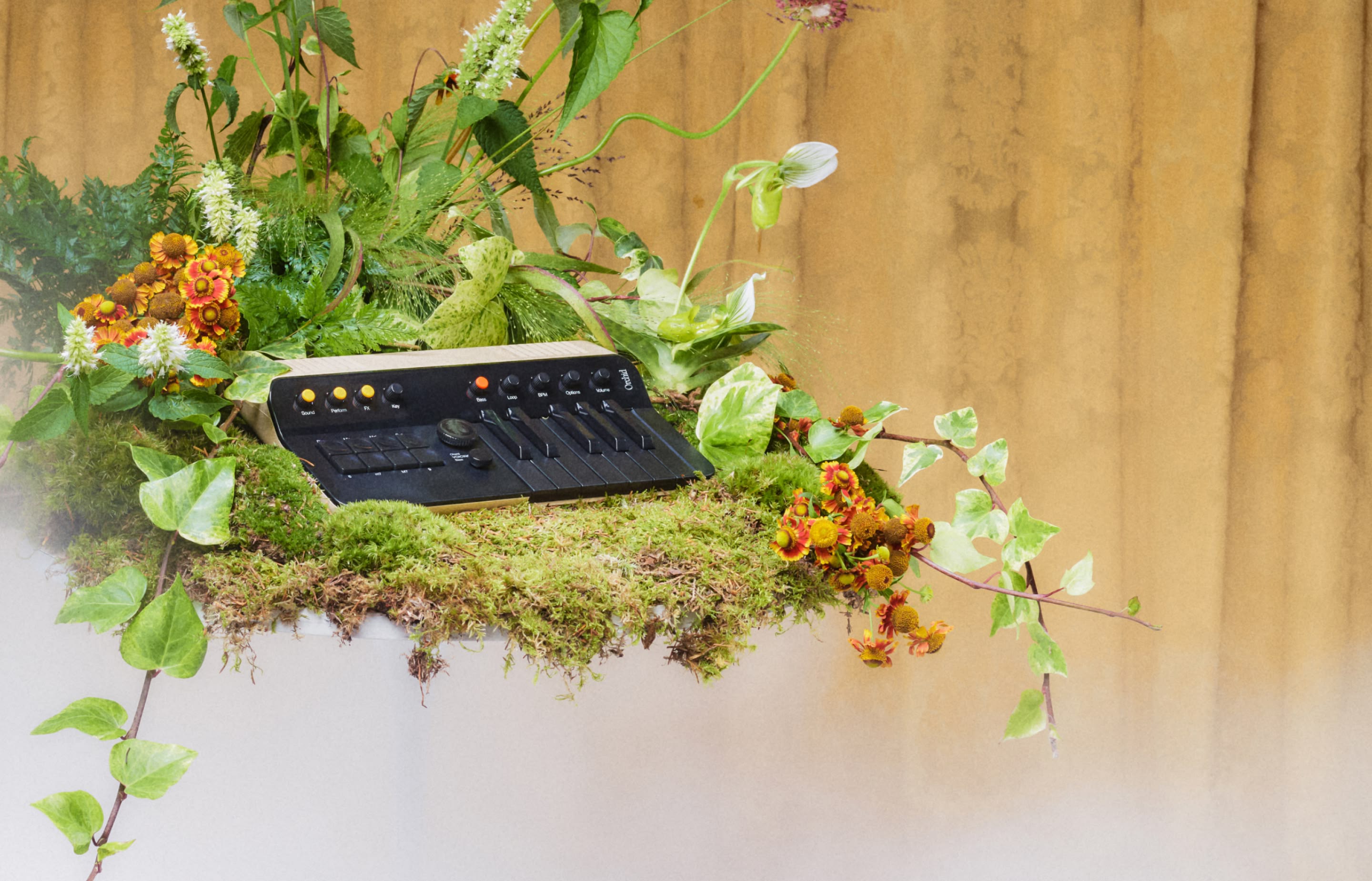 鍵盤楽器 Telepathic Instruments - Orchid Orchid ORC—1 – Telepathic Instruments