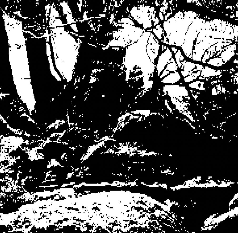 Orchid ORC—1 – Telepathic Instruments